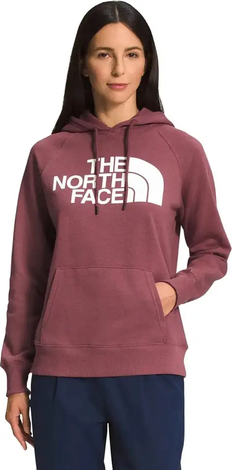 The North Face هودی مدل 1487